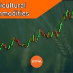 Commodities agricultural wholesale fruit